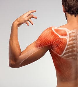 Causes of Shoulder Pain Hartford
