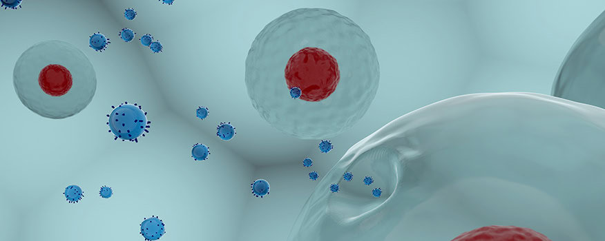 Exosomes Waterbury
