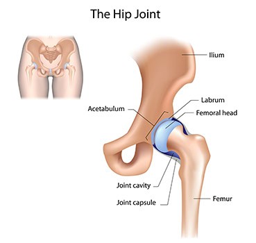 Hip Pain Treatments Hartford